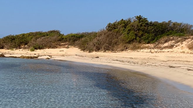 colimena, tuňák, puglia, the italians