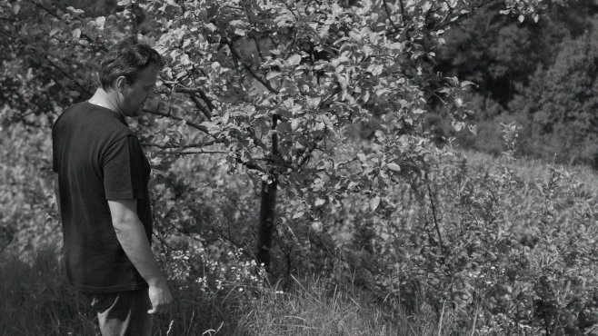 Primosic, ribolla gialla, oslavia, vína, friuli venezia giulia